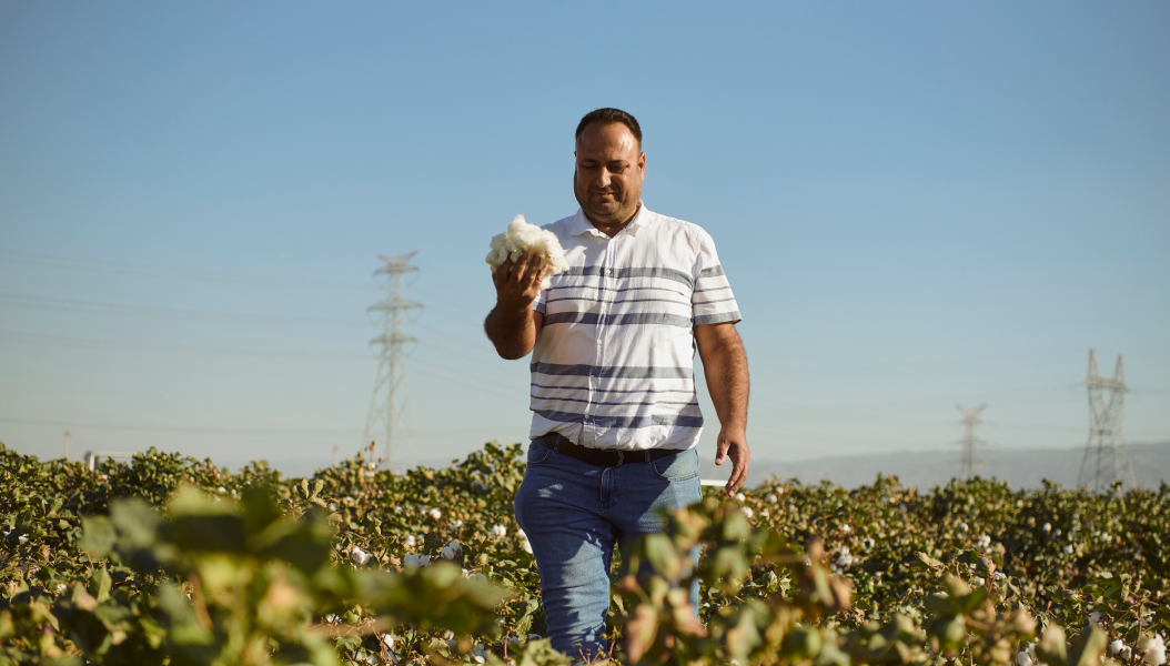 Organic Cotton farm in the Büyük Menderes River Basin in Turkey