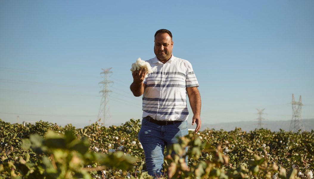 Organic Cotton farm in the Büyük Menderes River Basin in Turkey | Bio-Baumwollfarm im Büyük Menderes Becken in der Türkei